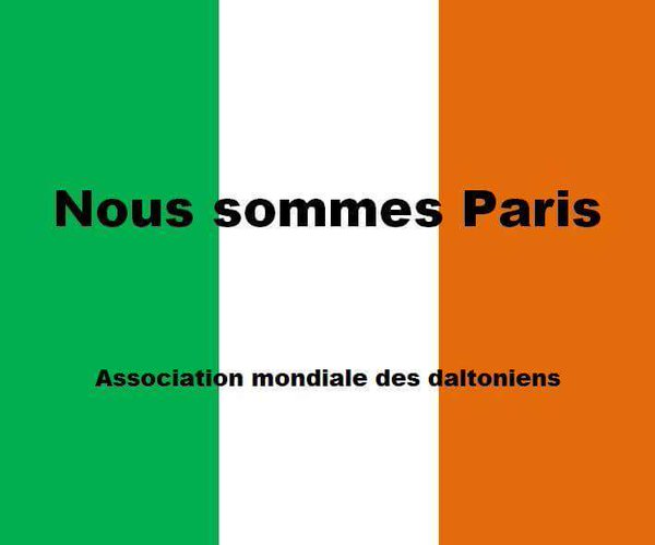 sans-titre.png