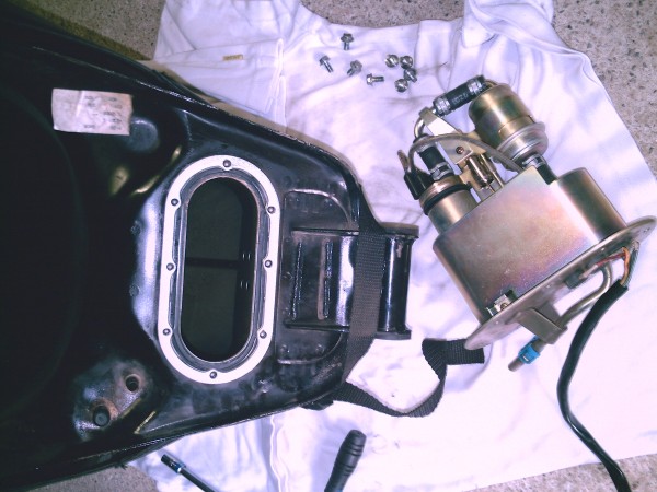 PICT0231.JPG