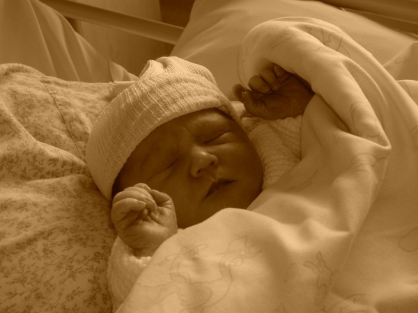 PICT0103.JPG