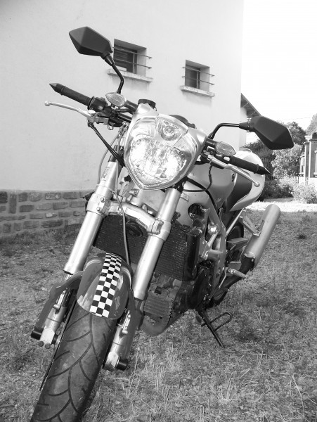 100_6620.JPG