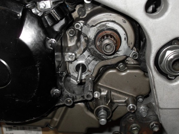 SDC10999.JPG