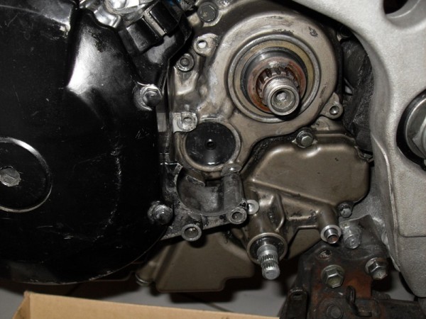 SDC11013.JPG