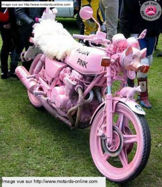 moto moche.jpg