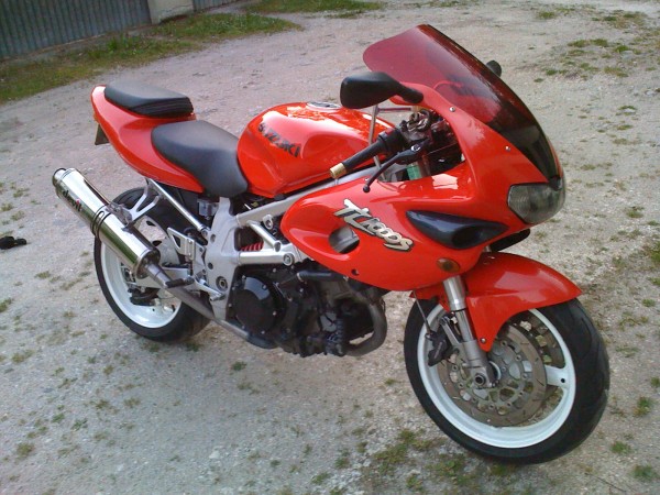 suzuki 001.JPG