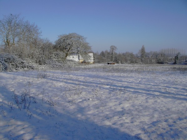 PICT0335.JPG