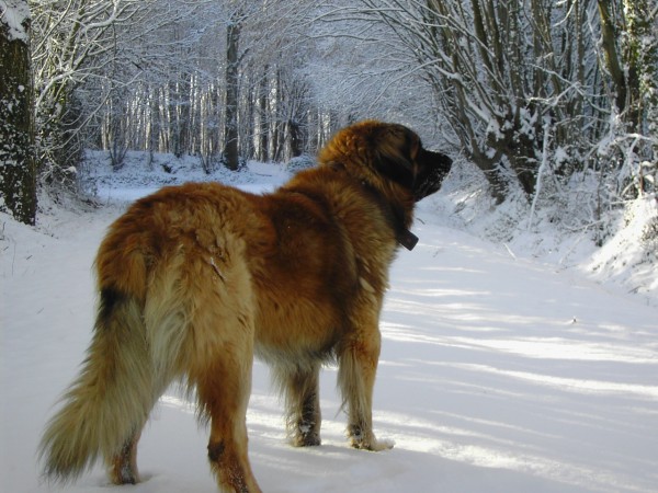 PICT0350.JPG