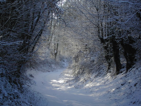 PICT0358.JPG
