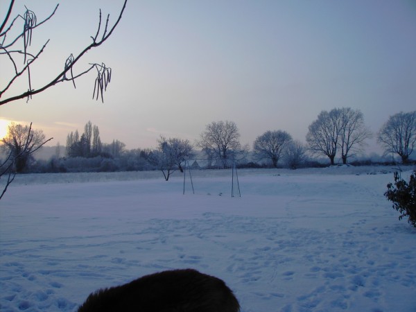 PICT0416.JPG