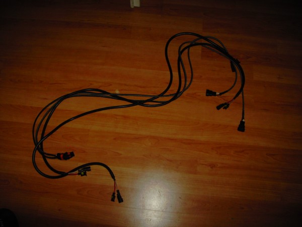 PICT0444.JPG
