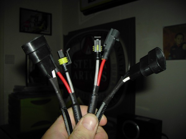 PICT0448.JPG