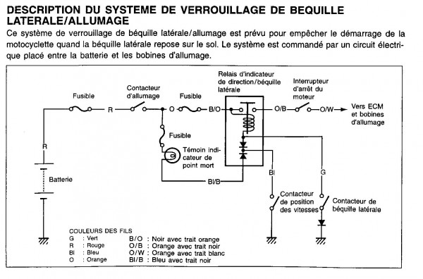 relai bequille tlr.jpg
