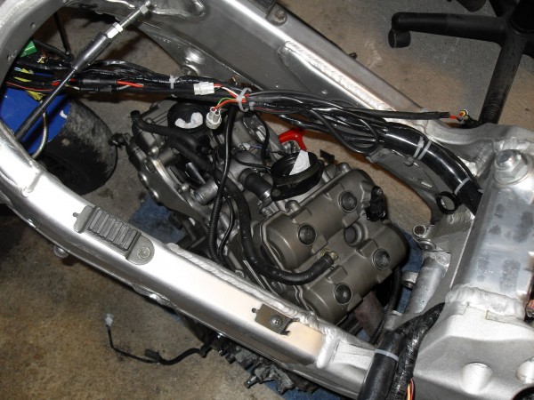 SDC11405.JPG