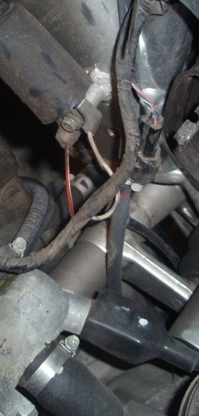 P5250009.JPG