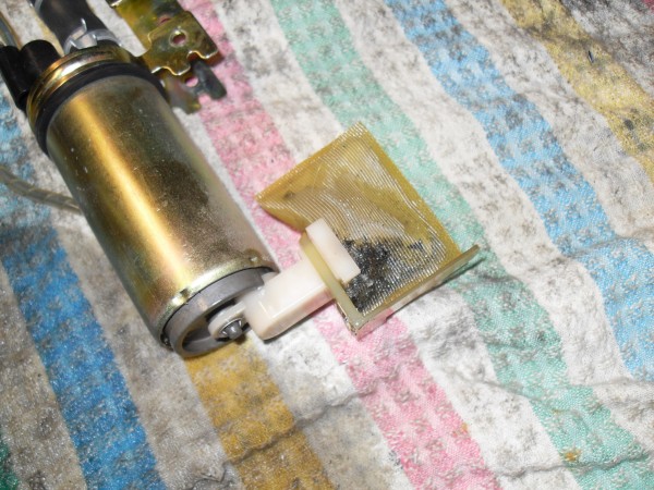 SDC11518.JPG