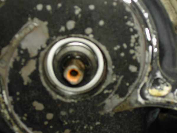 PICT2347.JPG