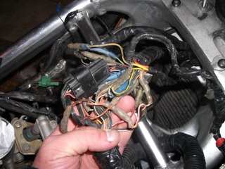 DSCF7205.JPG