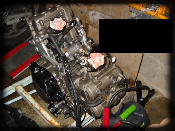 DSCN3631.jpg