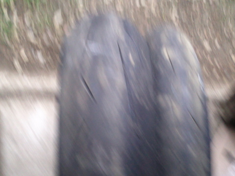 Photo0139.jpg
