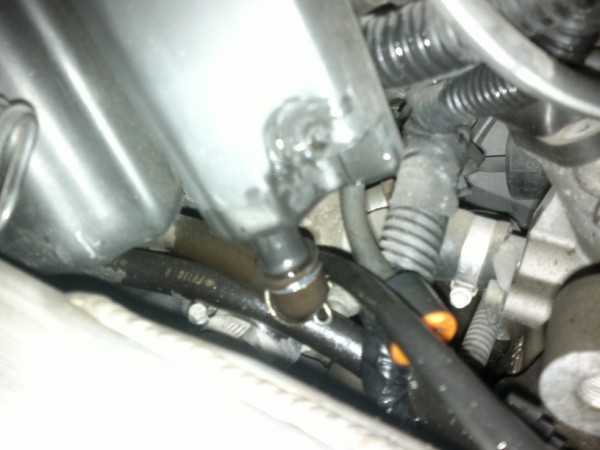 30092011202.jpg