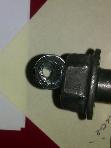 IMAG0029.jpg