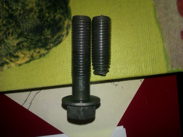 IMAG0025.jpg