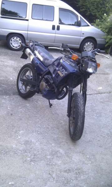 IMAG0380.jpg