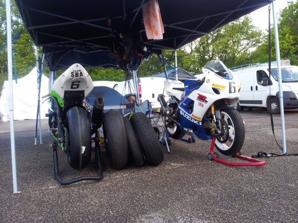 paddock 3.jpg