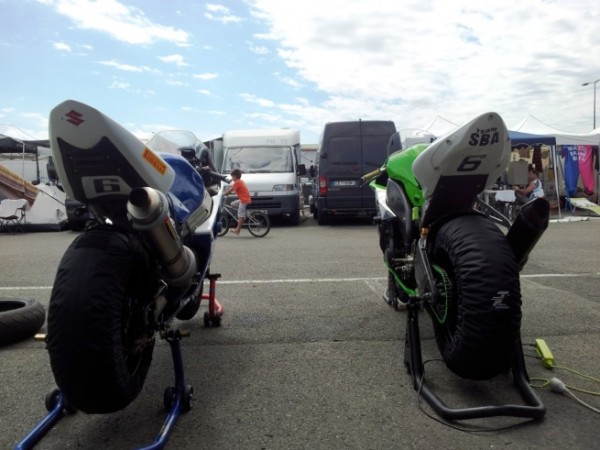paddock 2.jpg