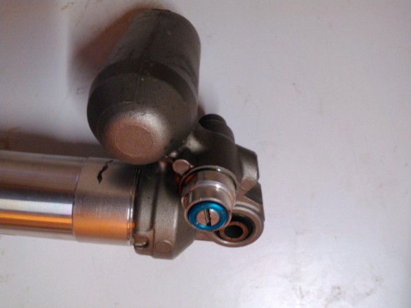 Amorto R1_3.JPG
