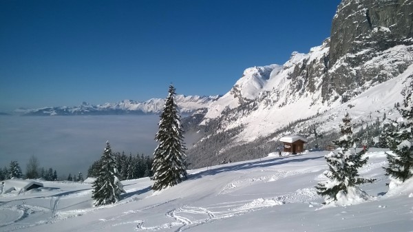 WP_20150207_005.jpg