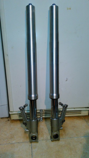 Fourche TLR 1.jpg