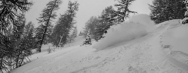 ThierryK02-1.jpg